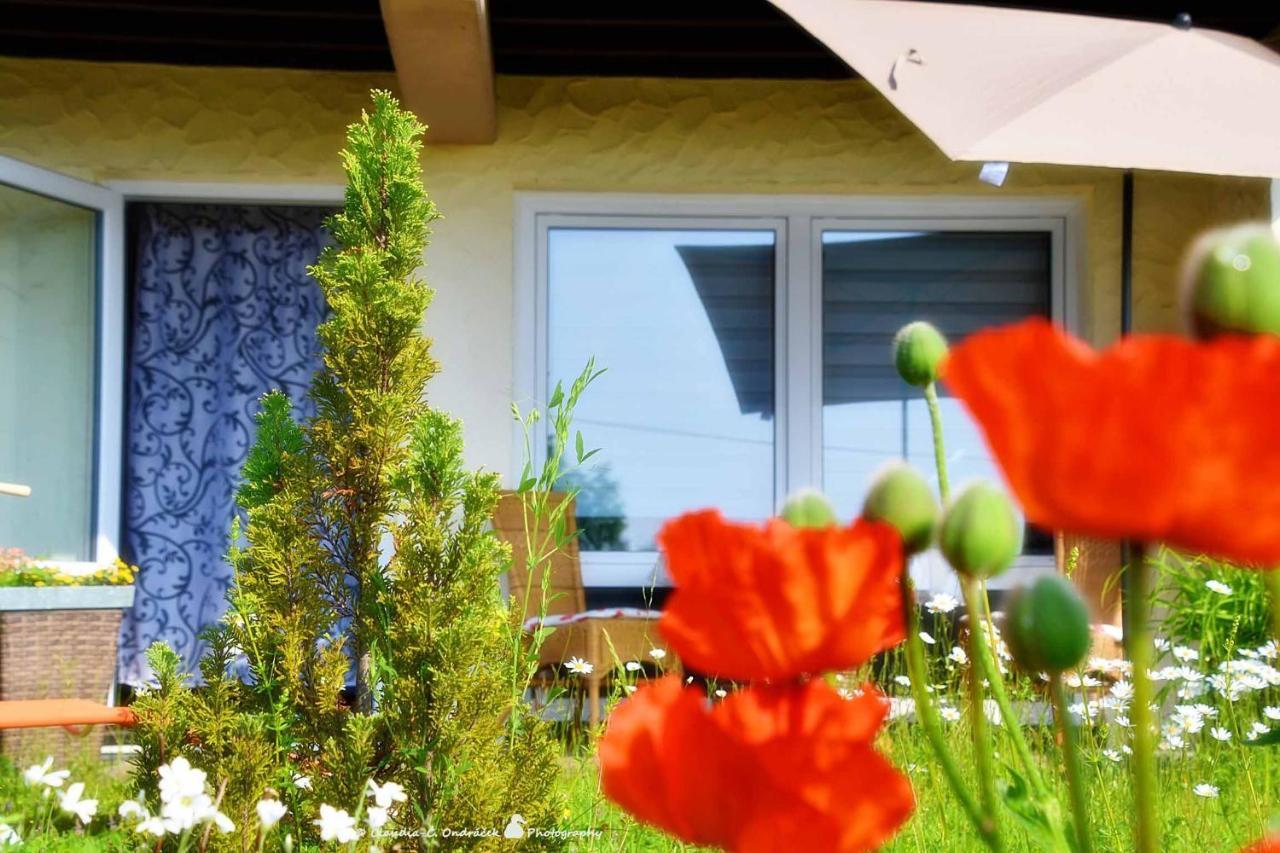 Ferienwohnung Kling Bischofsheim an der Rhoen Luaran gambar